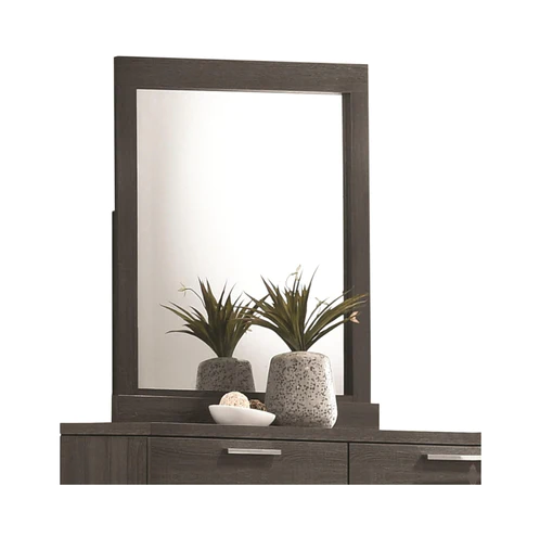 Lantha Gray Oak Finish Mirror
